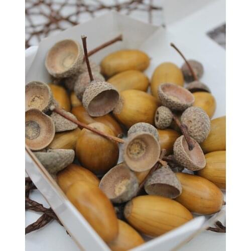 Katharina Spee Artificial Compositions