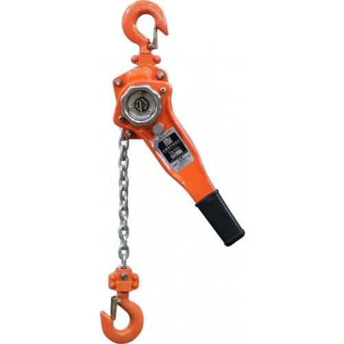0.75t Pulley Chain Block Chain Hoist Cable Hand Control Pulley Crane 3m Manual Block Lift Pulley Lifting