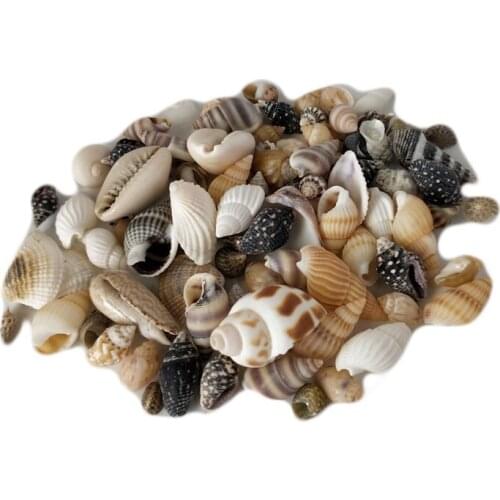 HappyKiss 1 Lot Of Mixed Sea Shells Shell Craft Aquarium Nautical Decor Ornaments natural mini conch mediterranean
