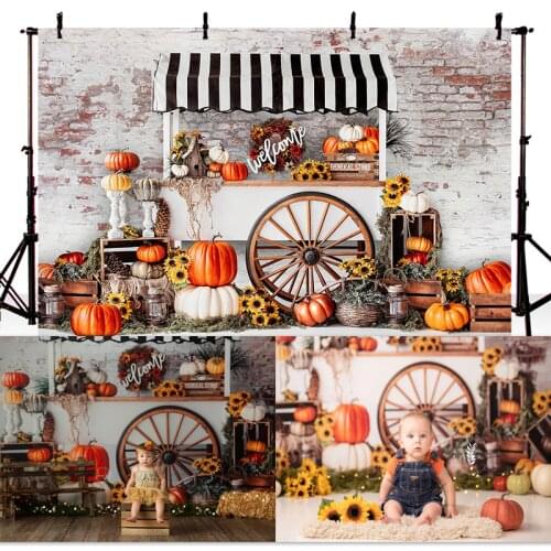 Halloween Photography Background Pumpkin Store Kids Children Party Backdrop Decoration Props Banner For Photo Studio