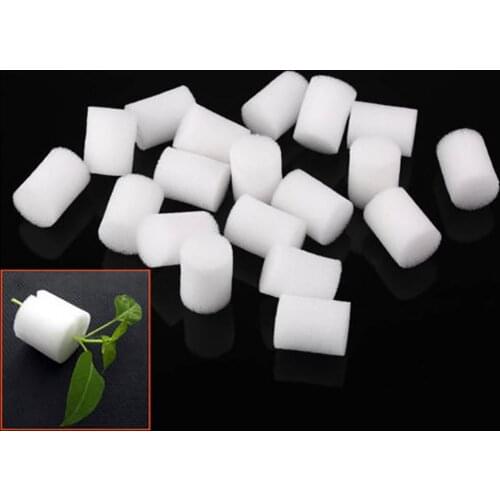 20Pcs White Cloning Foam Insert Hydroponic Root Guard Mesh Pot 25mm Soilless cultivation vegetables Hydroponic planting cotton