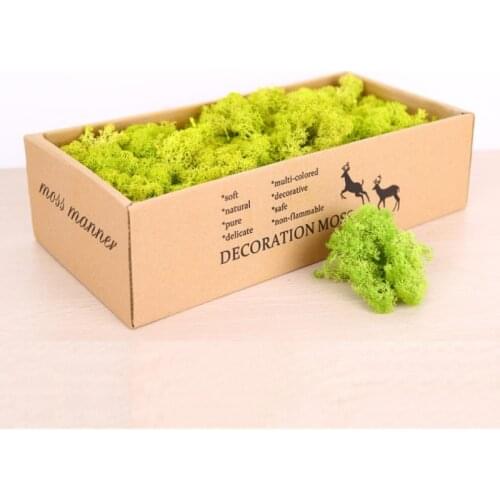 500g Artificial Plant Eternal Life Moss Garden Home Decoration Wall DIY Flower Material Mini Garden Micro Landscape Accessories