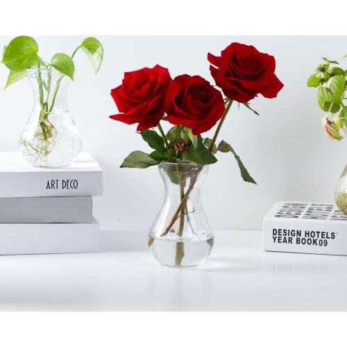 Transparent Glass Vases Hydroponic Plant Flower Arrangement Home Desk Wedding Party Decoration Landscape Tabletop DIY Craft Gift