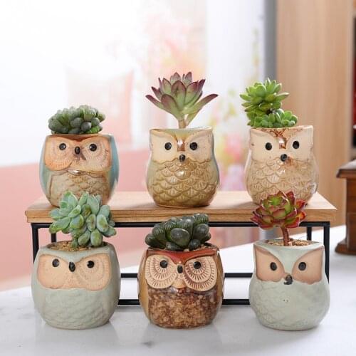 6pcs Ceramic Owl Flower Pots Planters Succulent Planter Desk Cute Design