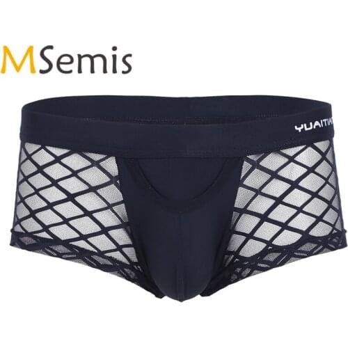 Swimwear Mens Swimsuit Lingerie Mesh Gridding Underwear See Through Swim Shorts Bulge Pouch Boxer Swim Briefs Male Swimwear