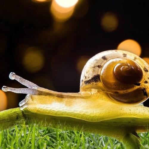 Hot Sell 100ML Repair Serum Face Cream Hyaluronic Acid Moisturizing Whitening Care Skin Liquid Face Essence Collagen K9C2