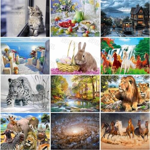 Diy Diamond Painting Advanced Simple Flowers and Fruit Oil Painting Wild Protected Animals Lion Leopard Cute Bunny Painting