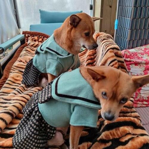 Dog clothes dog dress pet pet clothes cat dress puppy clothes cute dress dog dresses for small dogs dog dresses dress dog blue