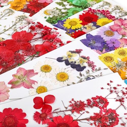 Pressed Real Dried Flower Dry Plants For Aromatherapy Candle Epoxy Resin Pendant Necklace Jewelry Making Craft DIY Accessories