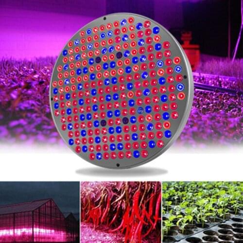 Vusum Phytolamps For Plants