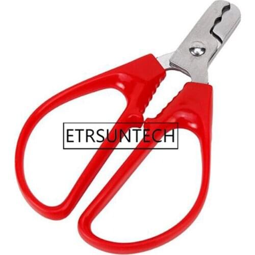 100pcs Melon Cracker Kitchen Clamp Walnut Pine Nutcracker Seed Opener Nut Plier Scissor Sheller Household Kitchen Hand Tool