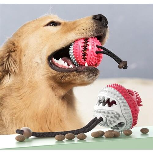 Pet Teeth Cleaning Supplies Healthy Rubber Dog Chew Toy Toothbrush Dog Teeth Cleaning Ball Wholesale Squeaky Dog Toy Chew Ball