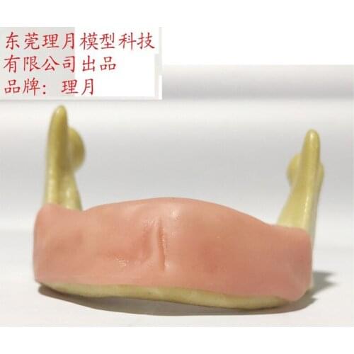 Bionic Jaw Bone Gingival Teeth Oral Cavity Implant Restoration Practical Training Teaching Aids Dental Model Medicine Equipment