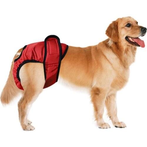 Pets Dog Physiological Pants Sanitary Diaper Female Dog Menstruation Shorts for Dog Pet Product