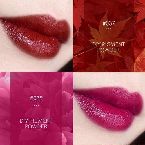 18 Colors DIY Lipstick Pigment Powder Lip Cosmetic Makeup DIY Color Lipgloss Powder Pigment Make Up Tools Full Makeup Comestics