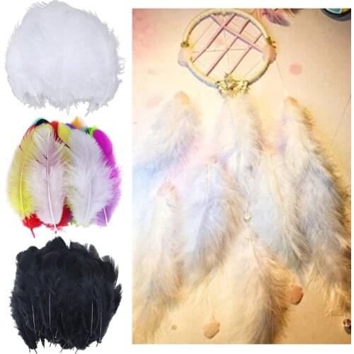 100 Turkey Chicken Feathers Plume Craft Hat Arts Wedding Decorations
