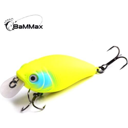 BaMMax Fishing Fishing Lure For Carp