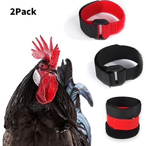2 Pcs Anti Crow Rooster Collar No Crow Noise Neck Belt for Roosters Cockerel Anti-Hook Neckband Collars Supplies