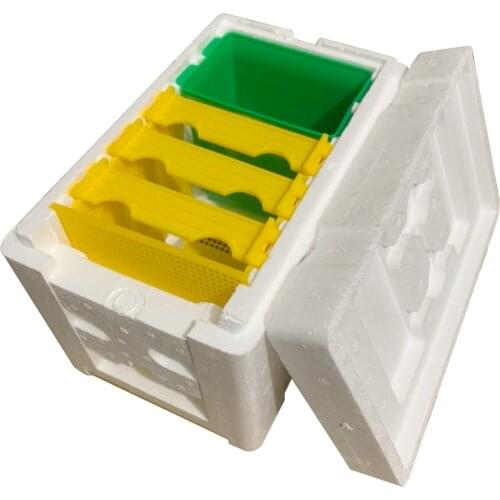 Beekeeping Tools Foam Beehives Bee Tail Boxes Bee Breeding Boxes Pollination Box Sets