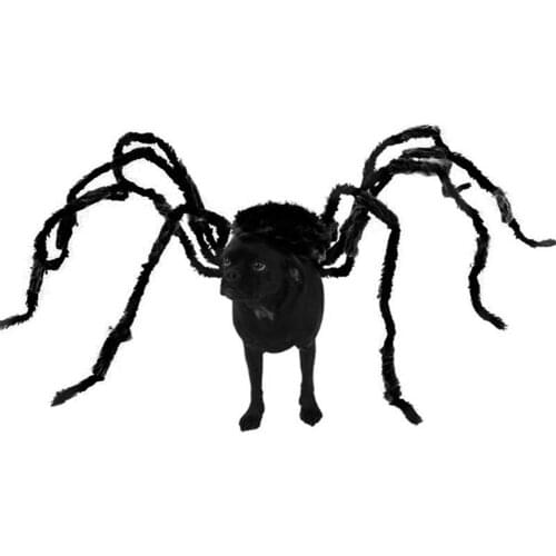 Funny Pet Clothes Pet Halloween Costume Cat Dog Black Spider Costume Festival Halloween Party Dressing Up Pet Clothing