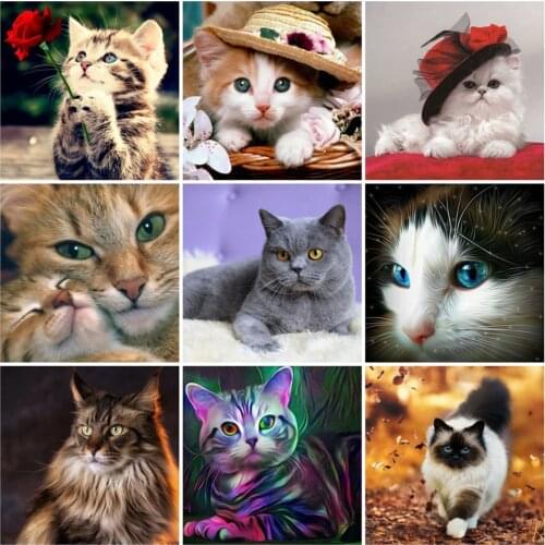 EverShine Diamond Embroidery Animals Cross Stitch Diamond Painting Full Square Cat Rhinestones Art Hobby Gift Wall Decor