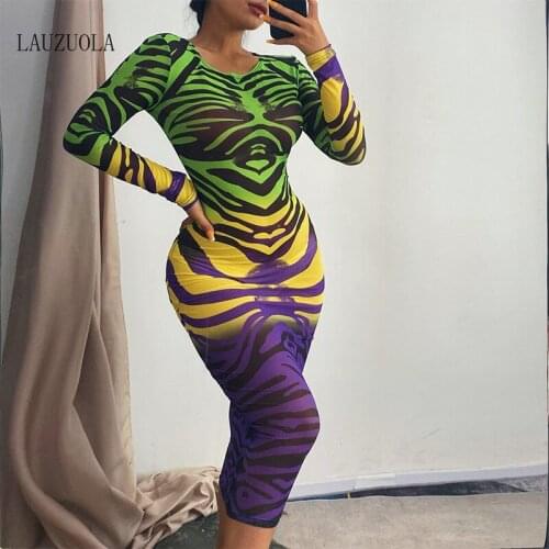 Gradient Leopard Print Long Sleeve Bodycon Midi Dress Women Sexy Mesh Sheer See Through Club Party Summer Dreses Y2K Rave Outfit