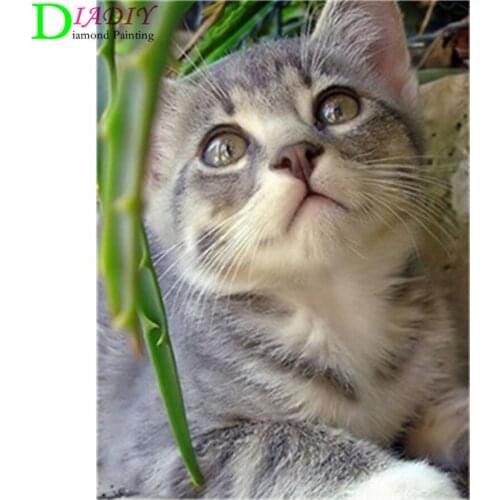 NEW Full Square Diamond Painting Cat 5D Diy Diamond Embroidery Animal Mosaic Picture Of Rhinestone Home Decoration Girl Hobby