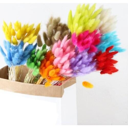 30Pcs/lot Natural Dried Flowers Rabbit Tail Grass Bunch Colorful Lagurus Ovatus Real Flower Bouquet for Home Wedding Decoration