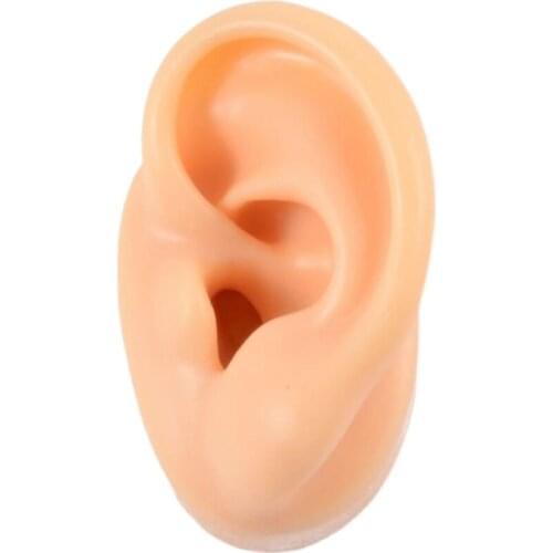 Simulation ear silicone asmr child touch ear sleep aid false ear model ear pick practice teaching display