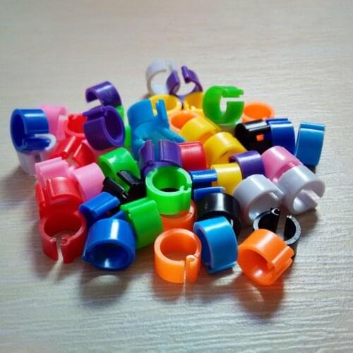 100Pcs Pigeons Rings 8*7mm Bayonet Identification Ring Opening Ring Color Pigeon Foot Ring Pigeon Supplies Bird Appliances