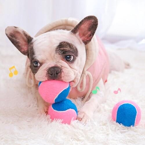 Pet toy tennis sounding ball Teddy Golden Retriever puppy dog toy large dog molar bite resistant