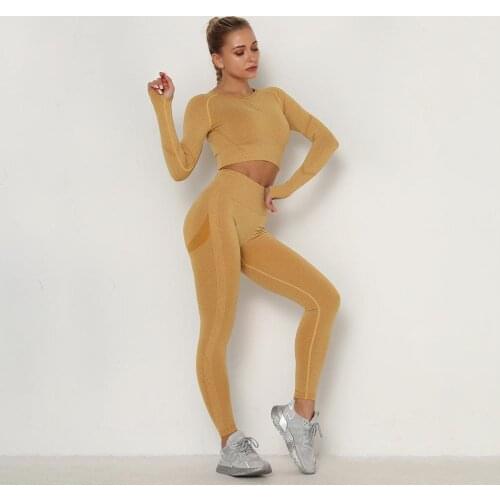 Women Fitness Suit Gym Clothes Work Out Set 2 Piece Sports Tracksuit Seamless Long Sleeve Shirts Tight Legging Yoga Sets Running
