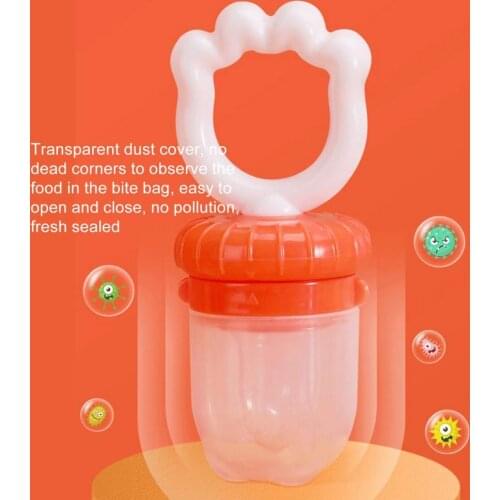 Fruit Feeder Cartoon Shape Portable BPA Free Kids Vegetables Feeding Pacifier Boys Girls Food Grade Silicone Infant Pacifiers