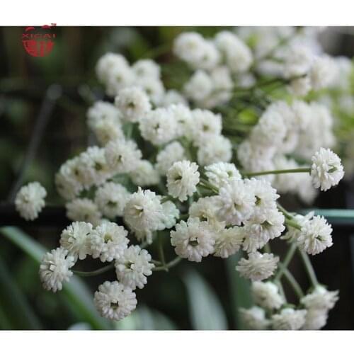 3/4/5/15Pieces Artificial Flowers Gypsophila Bride Bouquet / Wedding Flowers Soft Heads Real Touch Flower Babybreaths