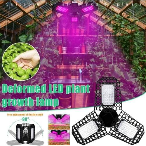 E27 LED Growing Lamps Red And Blue Spectrum Greenhouse Seedling Indoor Farming Succulents 3-leaf Folding Plant Growth Light