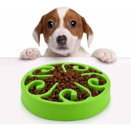 Fashion Slow Feed Dog Bowl,Anti-Choking,Healthy Pet Food Bowl To Prevent Obesity,Dog Feeder Dish,Water Bowl for Dog