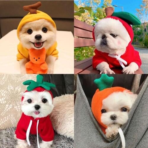 Fruit turned into a dog, cat, small and medium-sized dog fleece sweater Teddy Yorkshire Bichon funny sweater