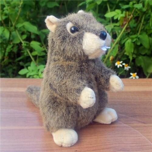 New simulation Marmot toy plush high quality Marmot doll gift about 21cm 2803