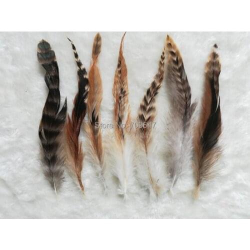 100Pcs/lot,6-8inches 15-20cm Natural Coque Chinchila Color Feathers,Loose Coque Chinchila Feathers for Crafts