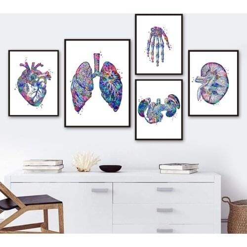 Anatomy Organs Heart Liver Lung Kidney Wall Art Canvas Painting Nordic Posters And Prints Wall Pictures For Clinic Room Decor