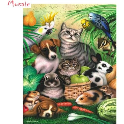 5D diy Diamond Painting Cross Stitch"garden cats"square Diamond Embroidery animal dog,Full Drill resin Paste Pattern Mosaic art