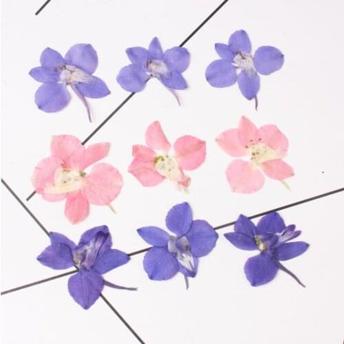 120pcs Pressed Dried Consolida Ajacis Petal Flower Plant Herbarium For Nail Art Jewelry Bookmark Phone Case Invitation Card DIY