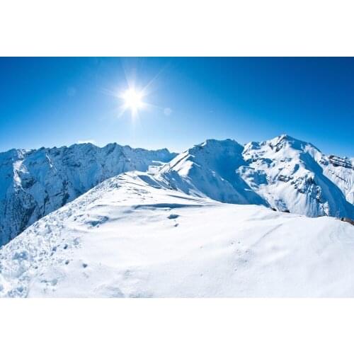 VinylBDS Winter Snow Photography Backdrops Ice Cold Sunshine Cameras Fotograficas Microfiber Studio Props Photography