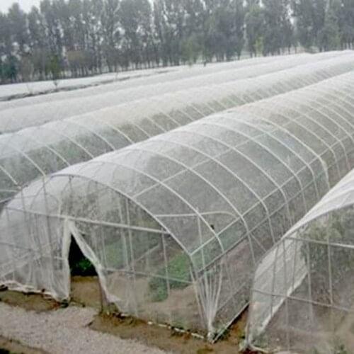 5m 100Mesh Pest Control Net Vegetable Fruit Plants Care Cover Greenhouse Protection Mosquito Aphids Pest Reject Netting