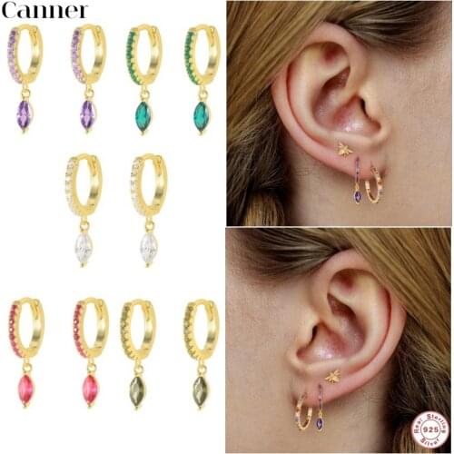 CANNER 925 Sterling Silver Colors Horse Eye CZ Jewelry High Quality Crystal Zircon Hoop Earrings For Women Wedding Gifts Jewelry