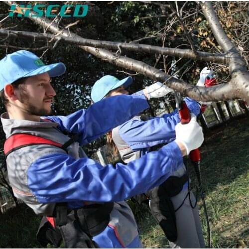 Hiseed Electric Litchi peach Tree Grape pruning shear handheld lengthening rod charging type pruning machine