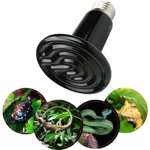 3Pcs Reptile Ceramic Heat Light Lamp 25W/50W/75W/100W/150W/200W Snake Lizard Hedgehog Reptile Pet Heater Brooder 220V-240V