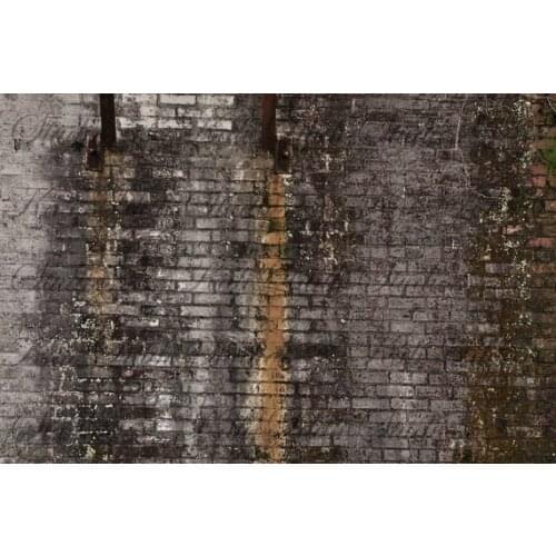 Old brick wall texture grunge graffiti stock rustic background Computer print children kids photo backdrop