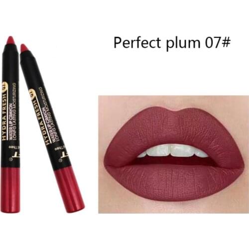 Matte Lipstick Makeup Velvet Matte Lipsticks Pencil Waterproof Long Lasting Sexy Red Lip Liner Non-Stick Cup Lip Tint TSLM1