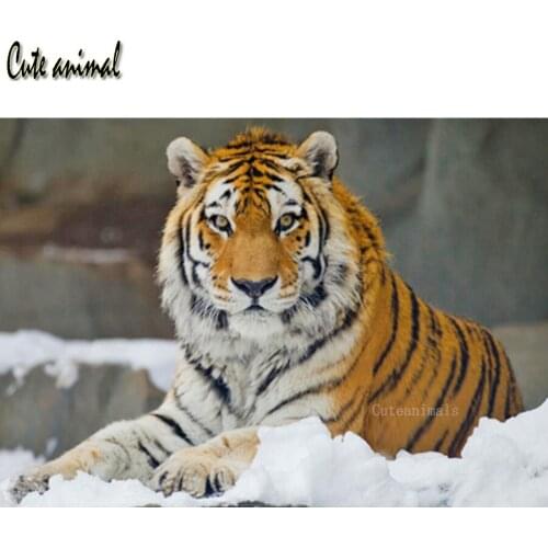 DIY Diamond Embroidery Tiger animal winter snow scene full Square round Rhinestone 5D Diamond Painting Cross Stitch kit Decor